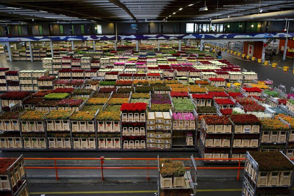 What ERP Solution Should I Choose for Inventory Management